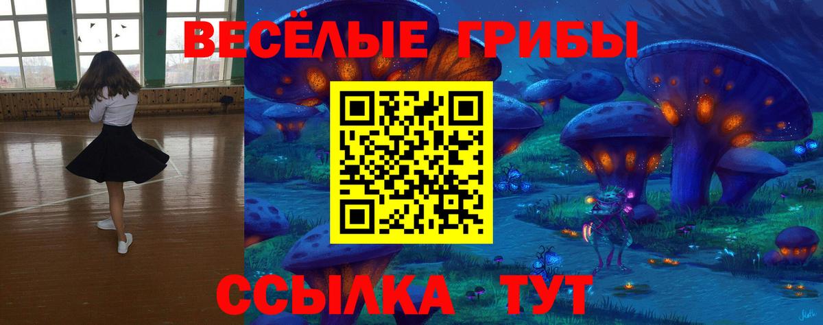 Карачаевск  Галлюциногенные грибы ЛСД  Галлюциногенные грибы Magic Shrooms  Вход с VPN 
